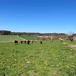 Biohof Liebhart Bauernhof