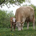 Biohof Liebhart *
