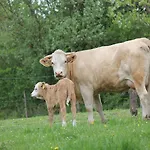 Biohof Liebhart