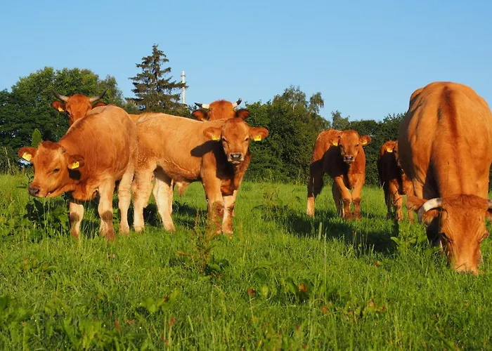 Farma Biohof Liebhart