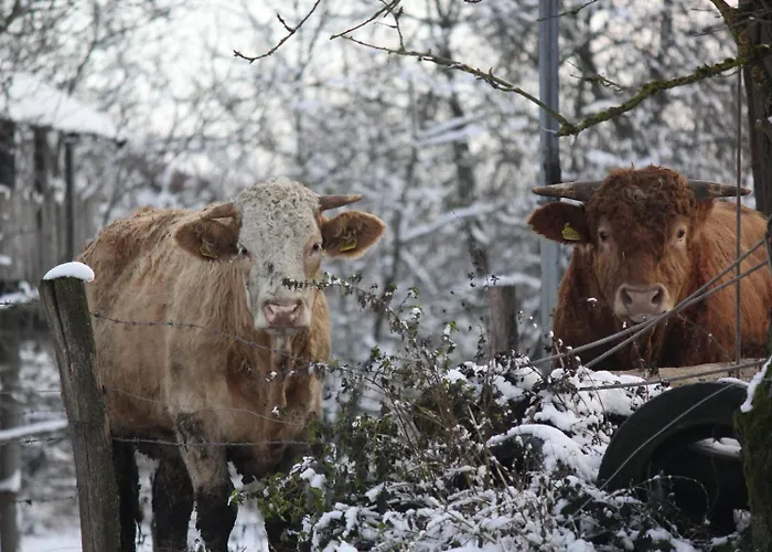 Farma Biohof Liebhart *