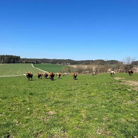 Biohof Liebhart 팜스테이