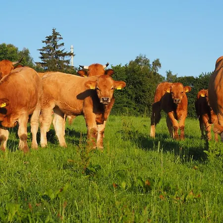 Agroturismo Biohof Liebhart