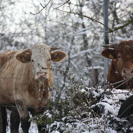 팜스테이 Biohof Liebhart *